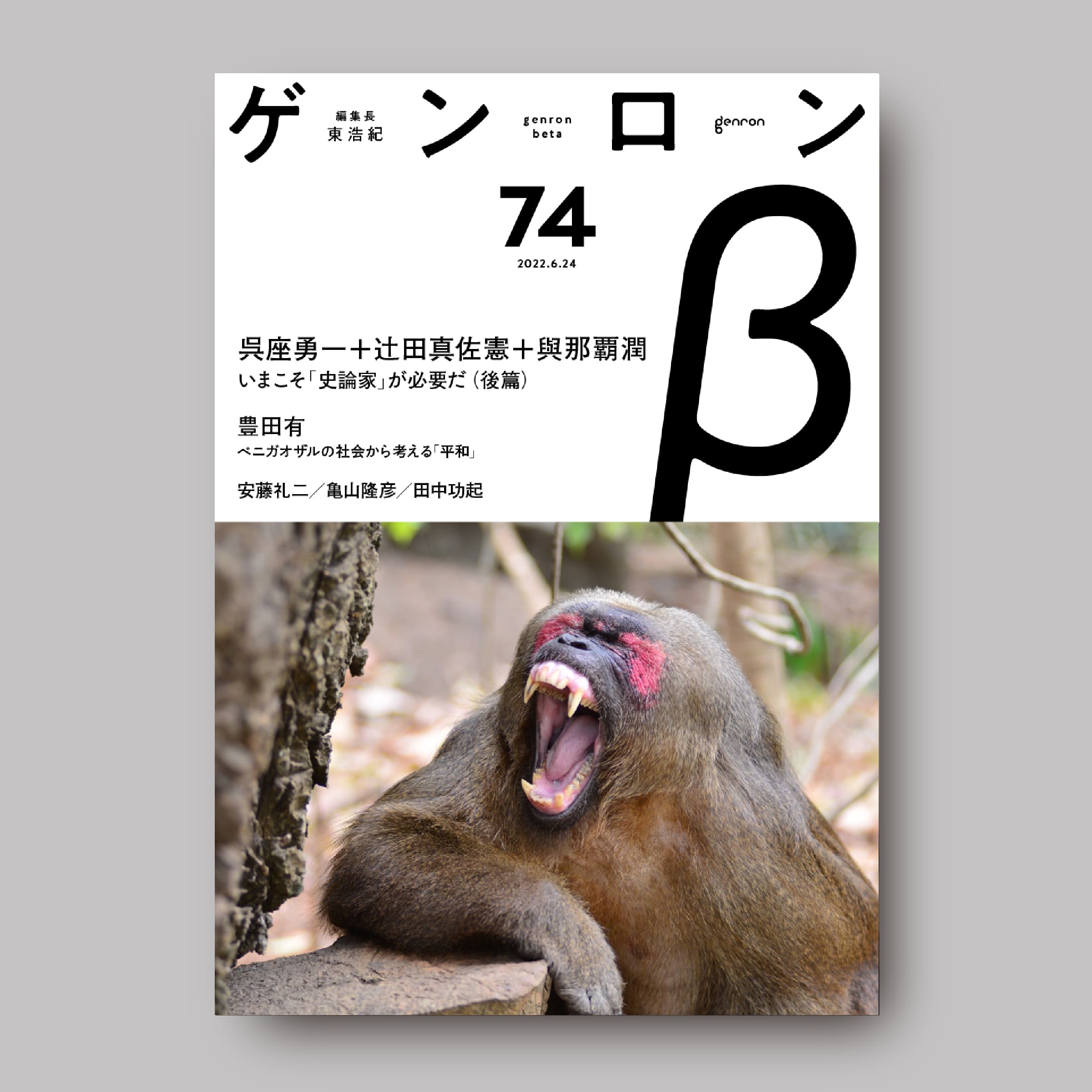 商品画像(ゲンロンβ74)